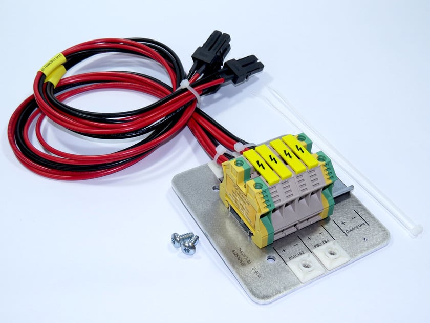 Electrical terminal block with red and black wires, including two screws.