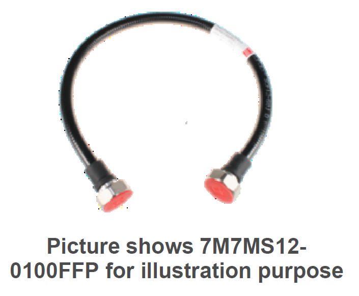 7000-00605600_rfs_01.png Schwarzer Schlauch mit metallischen Enden und roten Kappen.