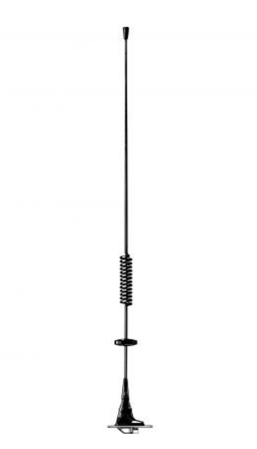 Black car antenna with spiral in the middle, vertically oriented.