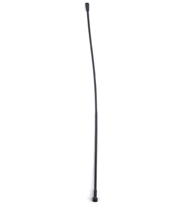 Long, thin, black antenna with slight curve.