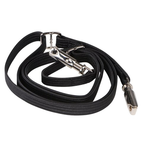 Schwarze Hundeleine mit silbernen Karabinern auf beiden Enden.