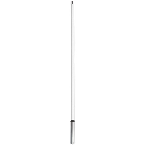 White antenna with a narrow dark ring at the base.